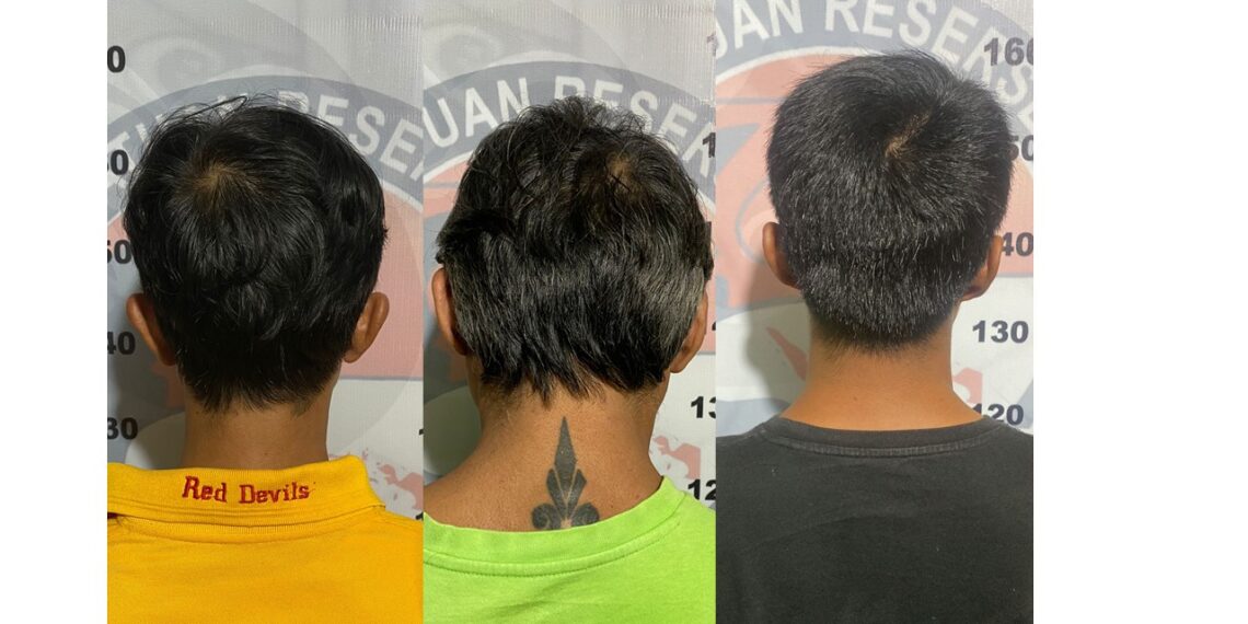 Tiga Pengedar Ganja Ditangkap Dalam Semalam