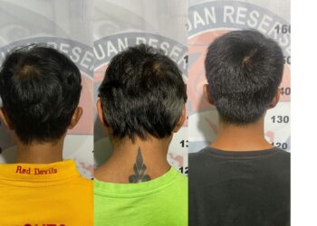 Tiga Pengedar Ganja Ditangkap Dalam Semalam