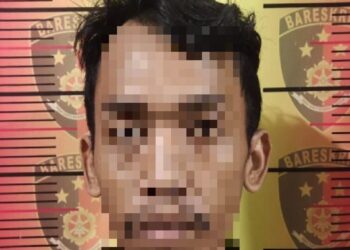 Gelapkan Pupuk, Sopir Perusahaan Ditangkap Polisi