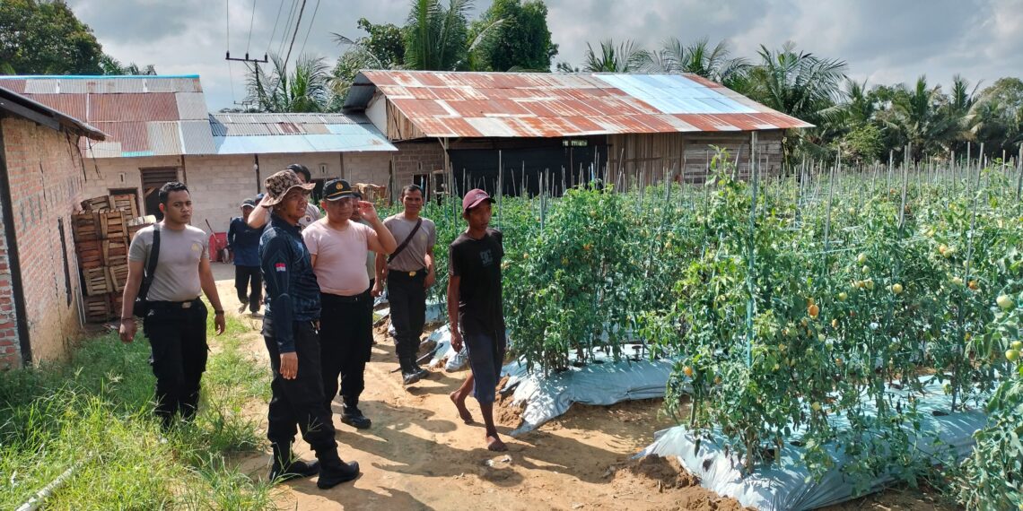 Dukung Ketahanan Pangan, Polsek Muara Badak Berkolaborasi Bersama UPT Dinas Pertanian Dan Kelompok Tani