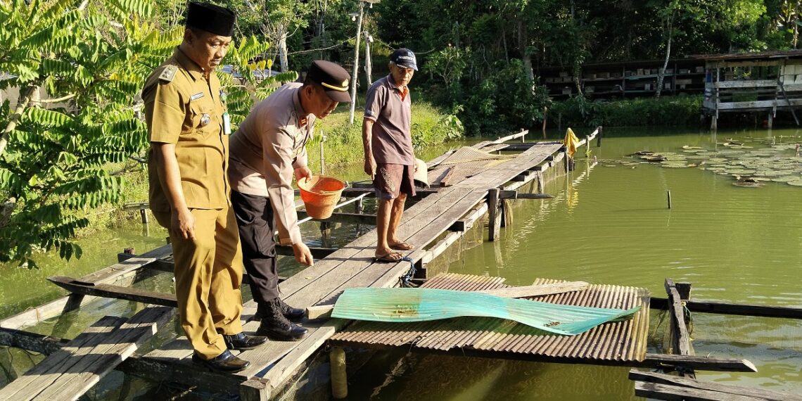 Polsek Bontang Barat Bersama Kelompok Ternak Berkah Jaya laksanakan Kegiatan Penyortiran dan Pemberian Pakan Budidaya Ikan Lele dan Nila