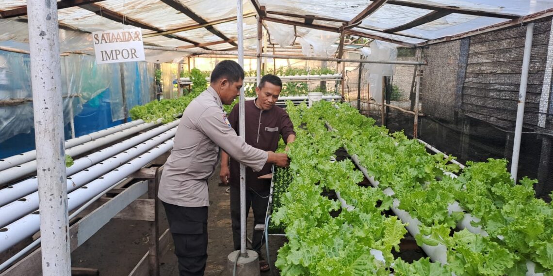 Bhabinkamtibmas Loktuan gelar cooling system serta Pendampingan Pekarangan Bergizi untuk Ketahanan Pangan di Bontang Utara