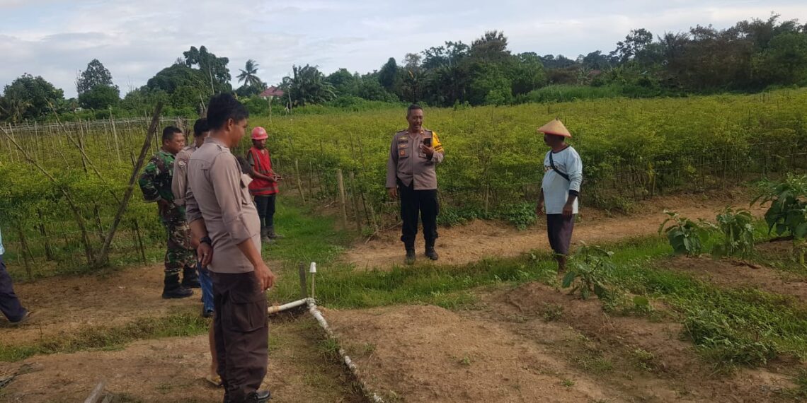 Kapolsek Bontang Utara Dukung Ketahanan Pangan dan Program Asta Cita Presiden dengan Lakukan Pendampingan Pertanian
