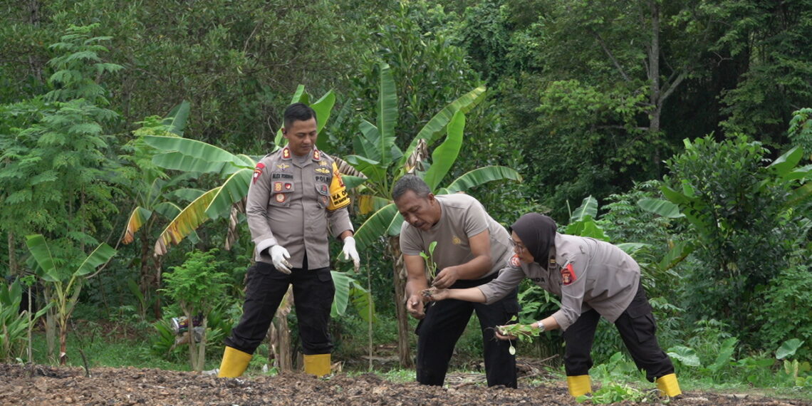 Dukung Asta Cita, Polres Bontang Laksanakan Penanaman Pangan Bergizi dalam Program Ketahanan Pangan di Lahan P2B Polres Bontang