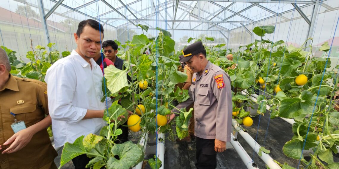 Dukung Asta Cita Wakapolsek Muara Badak hadiri Panen Raya Perdana Green House Hydroponik Melon Apollo di SMA Negeri 2 Muara Badak