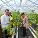 Dukung Asta Cita Wakapolsek Muara Badak hadiri Panen Raya Perdana Green House Hydroponik Melon Apollo di SMA Negeri 2 Muara Badak