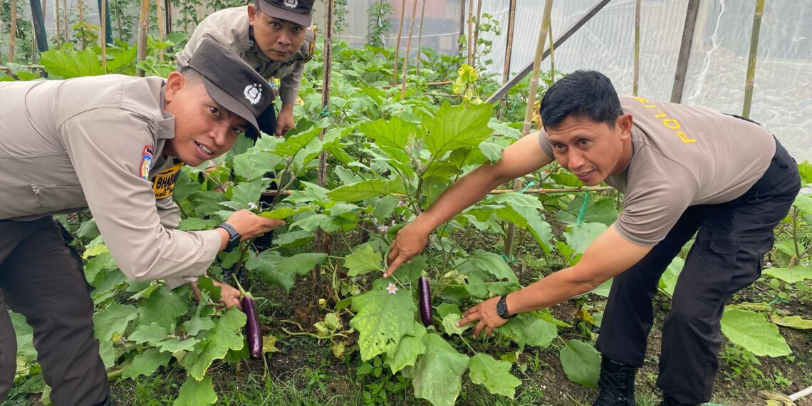 Tindak lanjut program Asta Cita, Polsek Bontang Utara Laksanakan Kegiatan Perawatan Pekarangan Bergizi untuk Swasembada Pangan Berkelanjutan