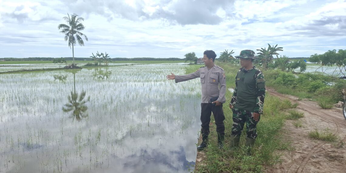 Tanggap bencana, Bhabinkamtibmas Desa Semangko Pantau Perkembangan Banjir diwilayah binaan