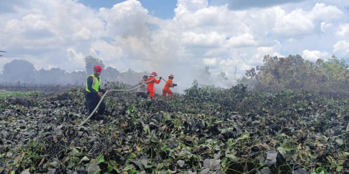 Sigap Gerak Cepat, Batalyon C Pelopor Sat Brimob Polda Kaltim Bantu Padamkan Karhutla di Tanah Grogot
